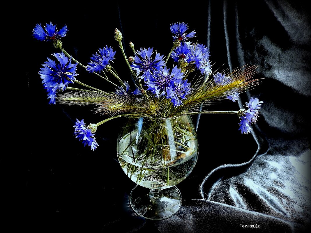 Плесните колдовства в хрустальный мрак бокала .... - TAMARA КАДАНОВА Плесните колдовства в хрустальный мрак бокала .... - TAMARA КАДАНОВА