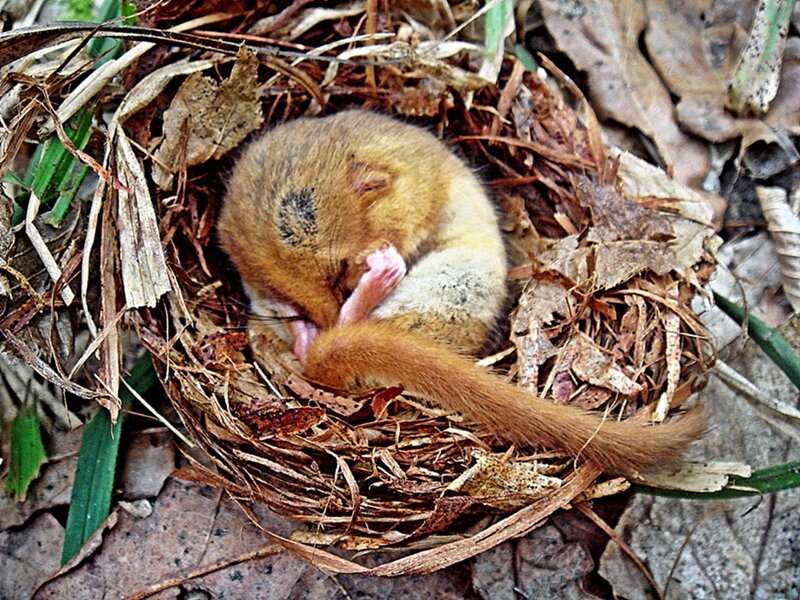 .... - юрий иванов 