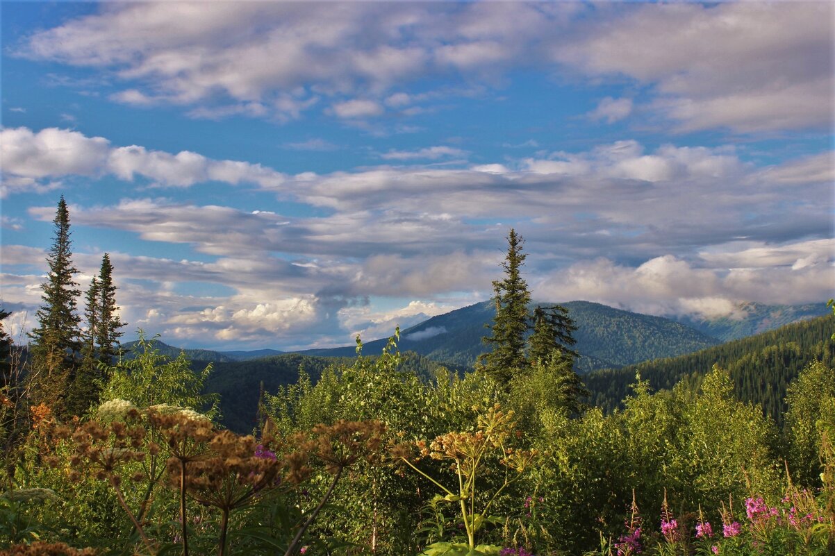 Облачность - Сергей Чиняев 