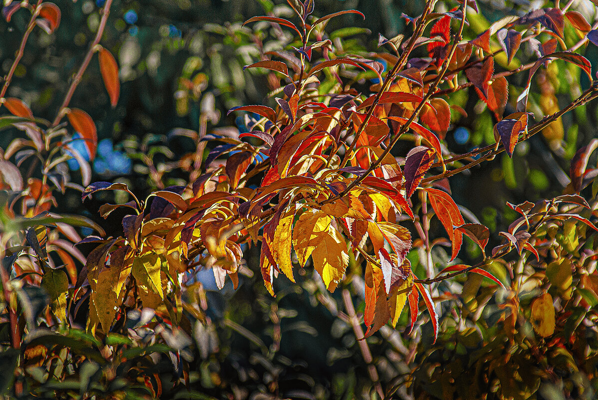 Фотозарисовка - Владимир Кроливец