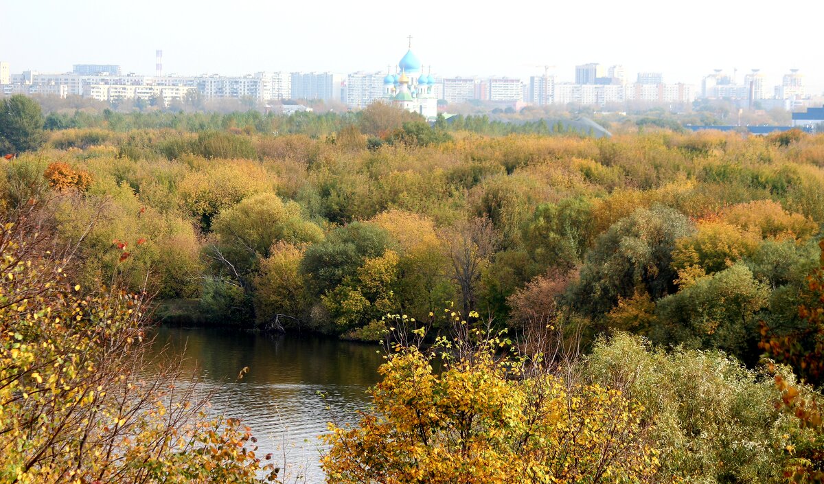 Осень в красках - Колибри М