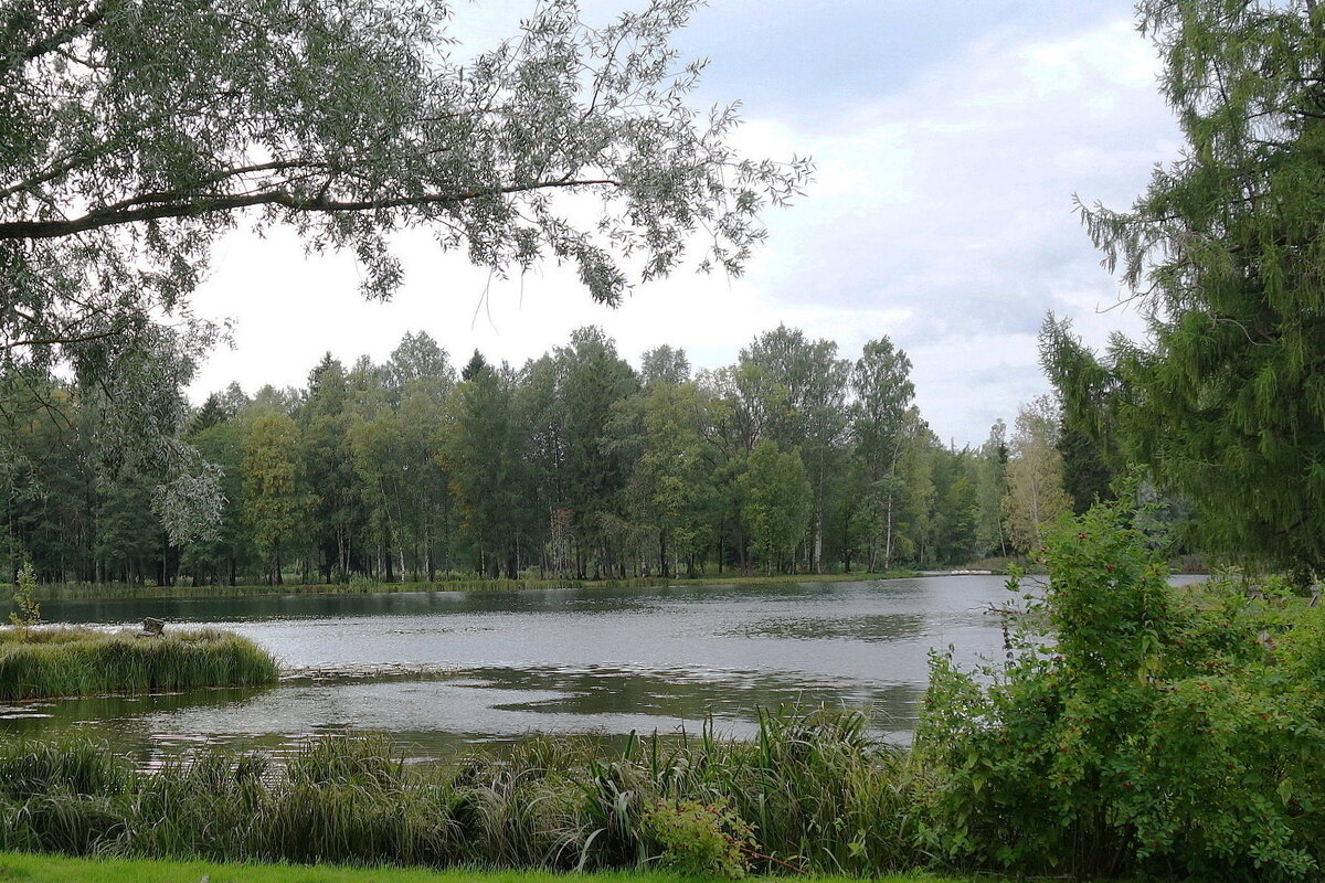 Гатчинский парк - Маргарита Батырева