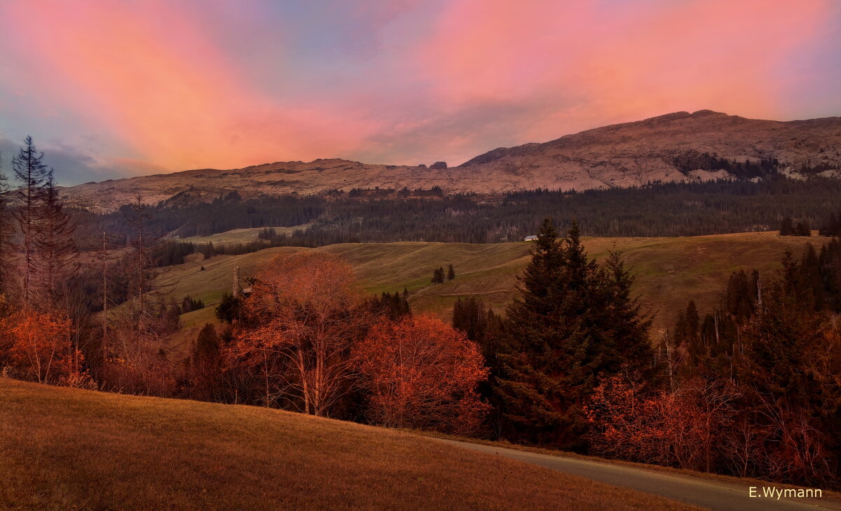 autumn morning - Elena Wymann