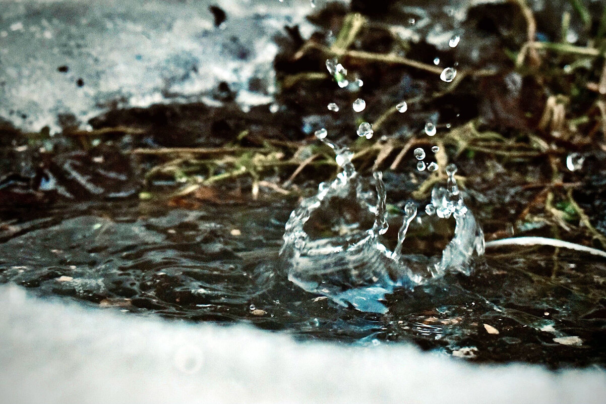 Капель - Владимир 