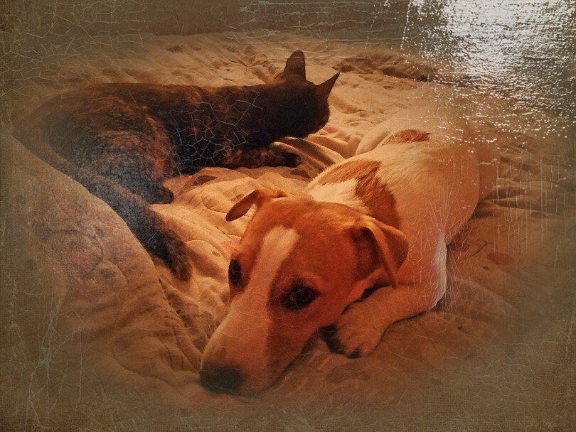 О дружбе в ФотоКартине) - Тамара Бедай О дружбе в ФотоКартине) - Тамара Бедай