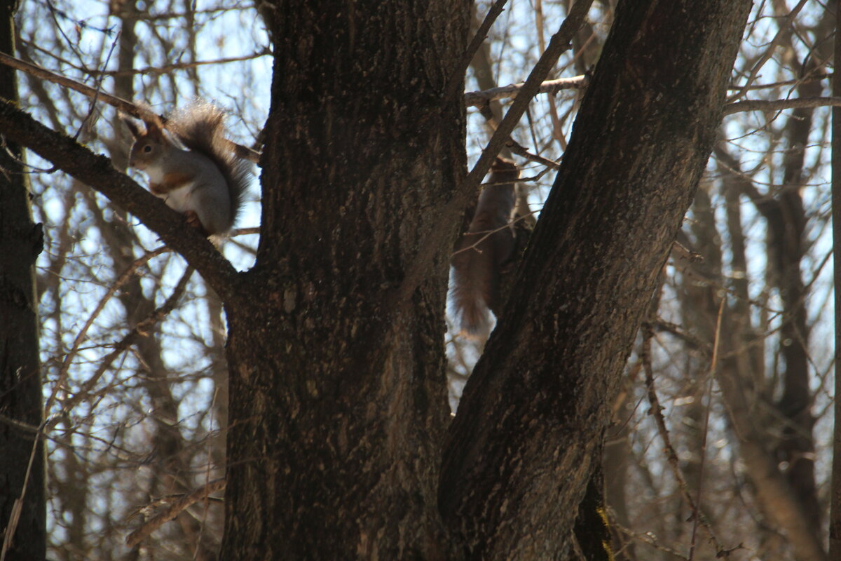 подружка убежала - Илья 