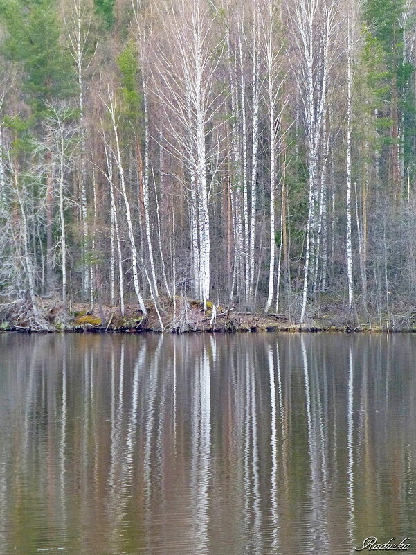 По Карелии - Raduzka (Надежда Веркина)