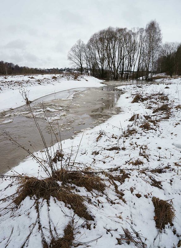 Половодье в долине Протвы - Сергей Курников