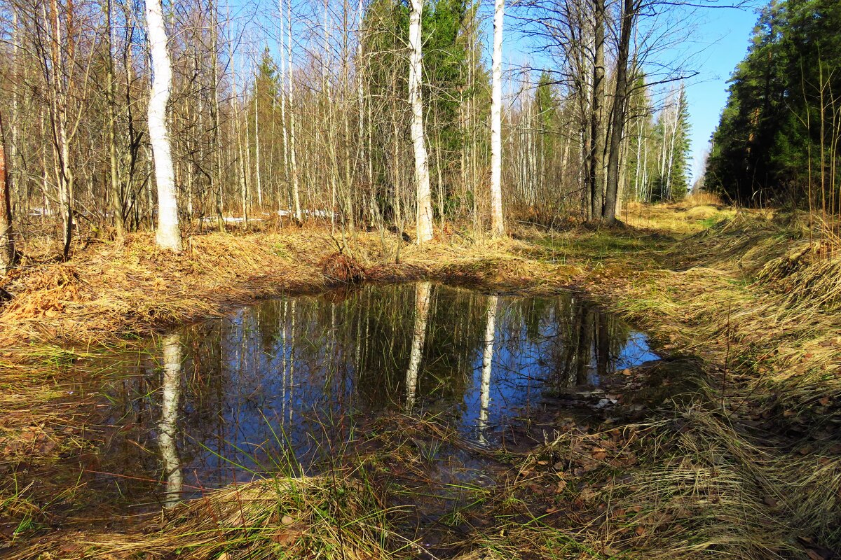 Весенняя вода - Григорий охотник