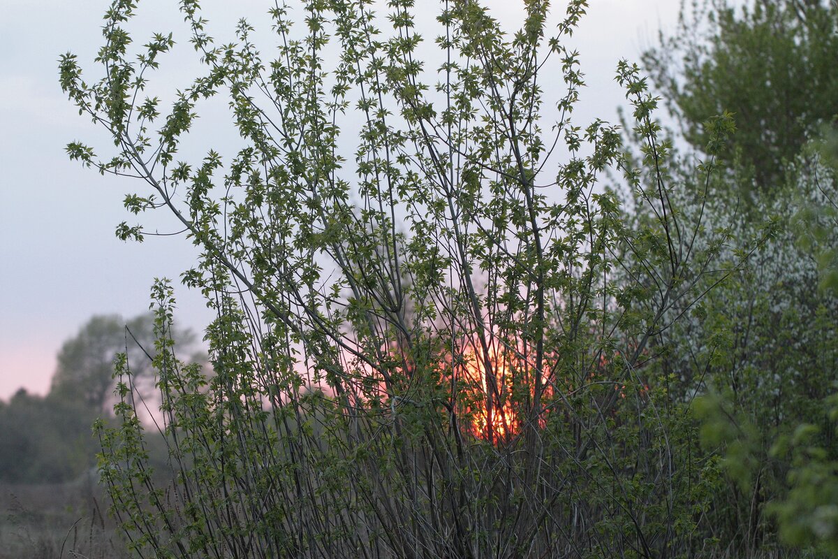 Закат - ZNatasha - Закат - ZNatasha -