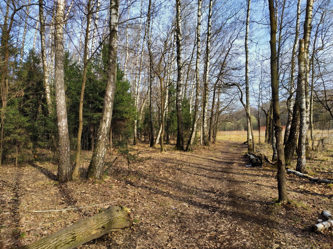 Экватор весны - Андрей Лукьянов Экватор весны - Андрей Лукьянов