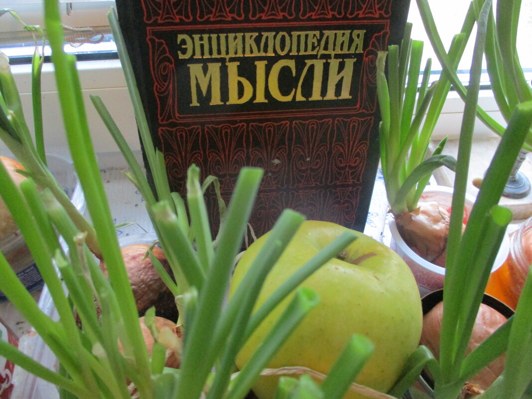 Инфиум - яблоко искушений мудростью, мировыми знаниями!.. - Alex Aro Aro Алексей Арошенко