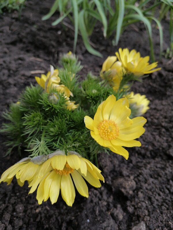 ... - Сергей Тимоновский ... - Сергей Тимоновский