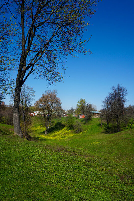 Весенний пейзаж ... - Лариса Корженевская