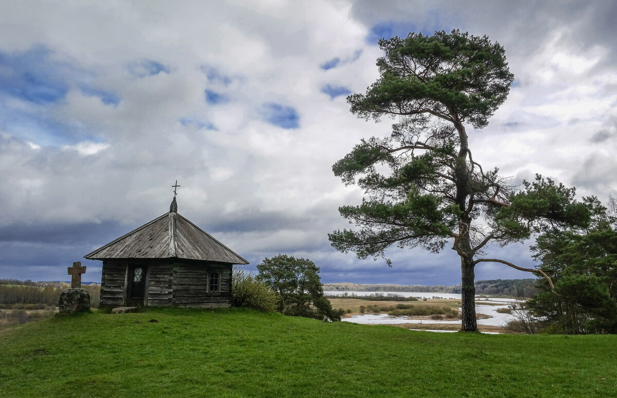 На кургане - Евгения Кирильченко