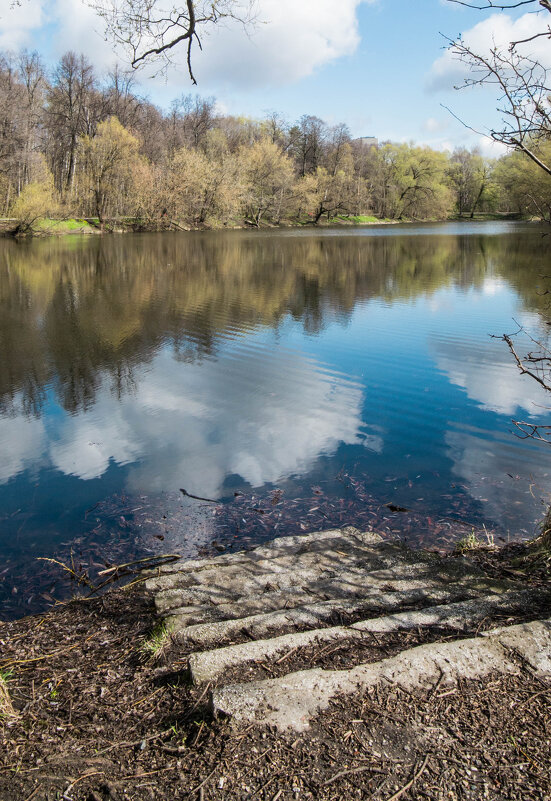 ступени - Сергей Лындин ступени - Сергей Лындин