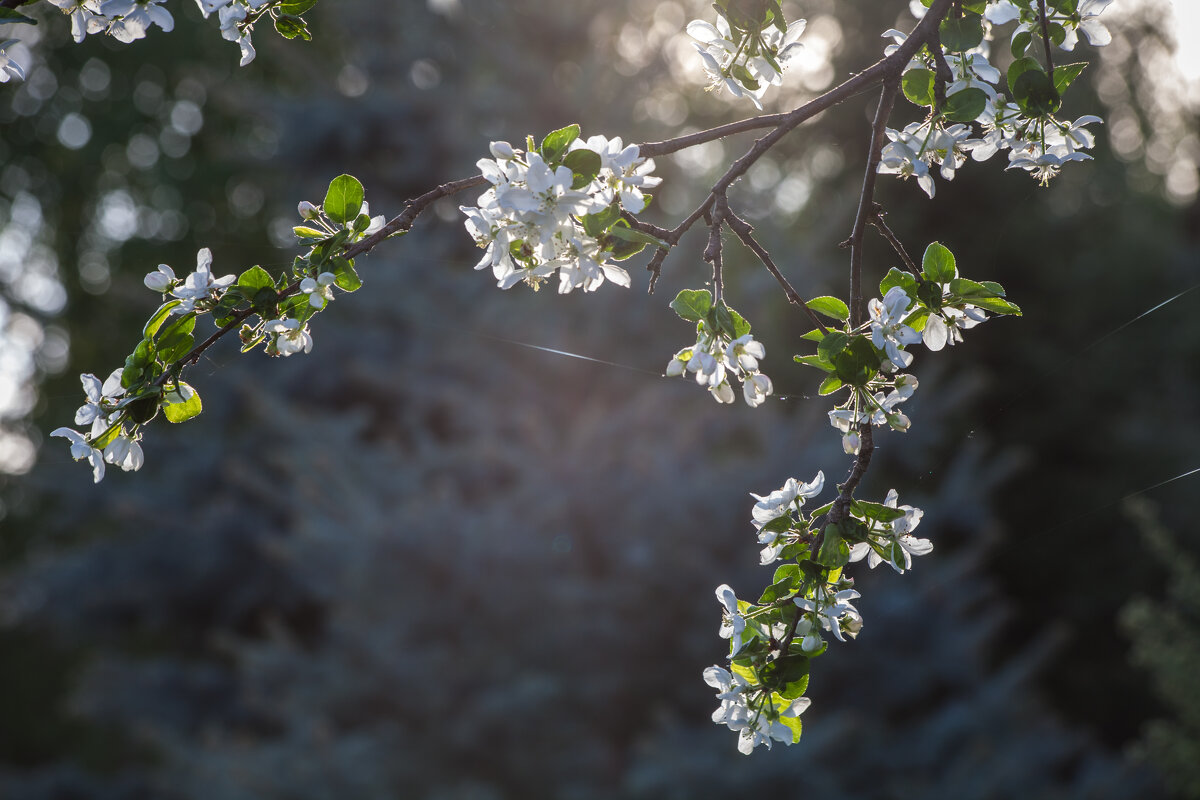 ... - Валерий ... - Валерий