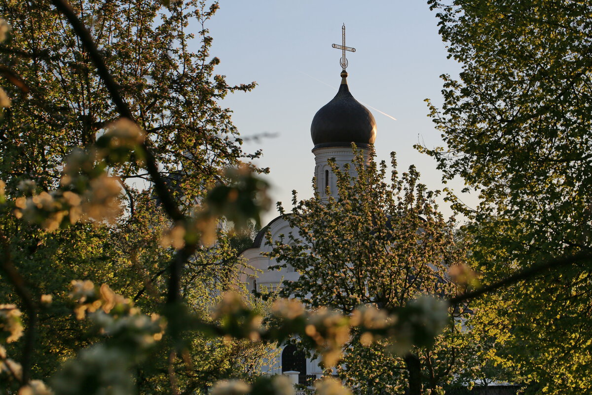 Весна в Переделкине - Ninell Nikitina