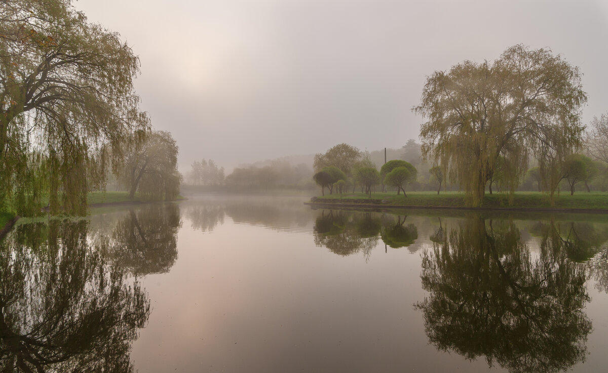 туман - василий 