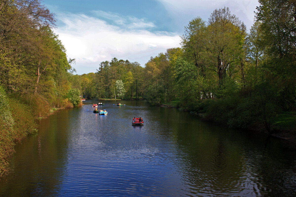 На Елагином... - Ирина Румянцева На Елагином... - Ирина Румянцева