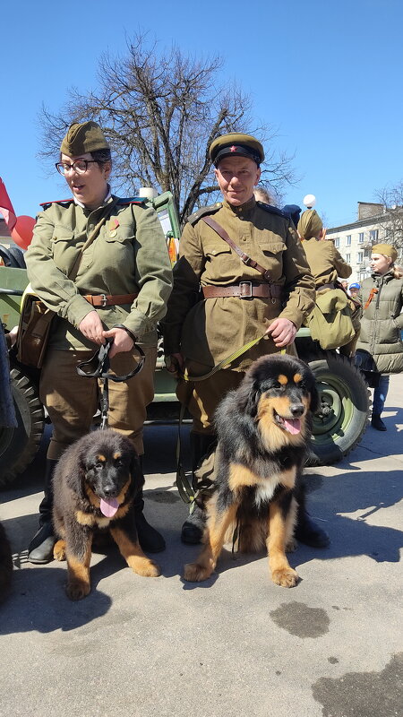 Бессмертный полк в Кузьмолово - Николай 