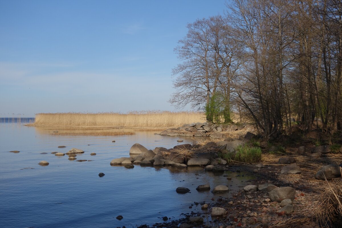 на заливе - Елена 