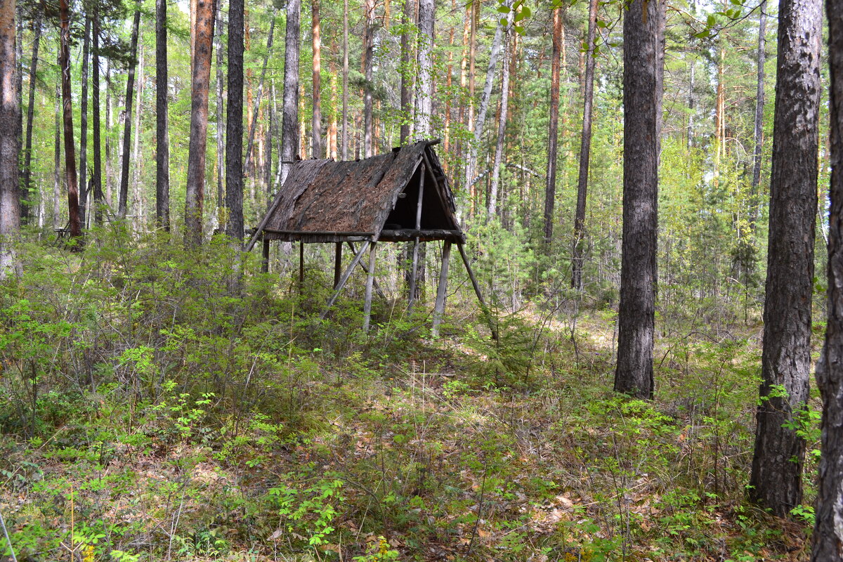 В эвенкийской деревне - Ольга 