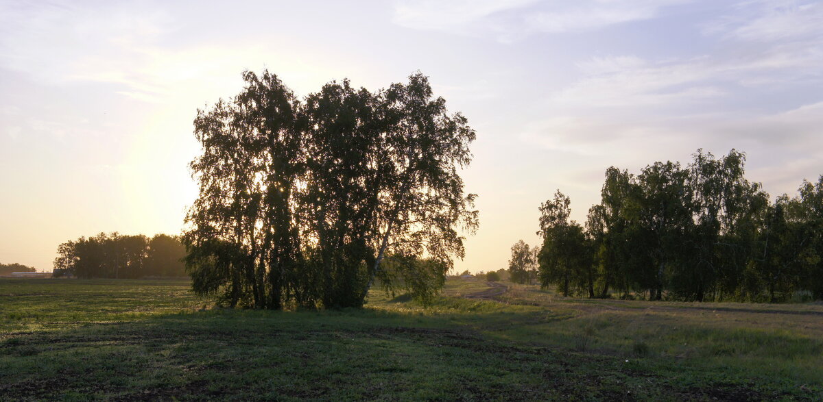 Предзакатное. - сергей ермошкин Предзакатное. - сергей ермошкин