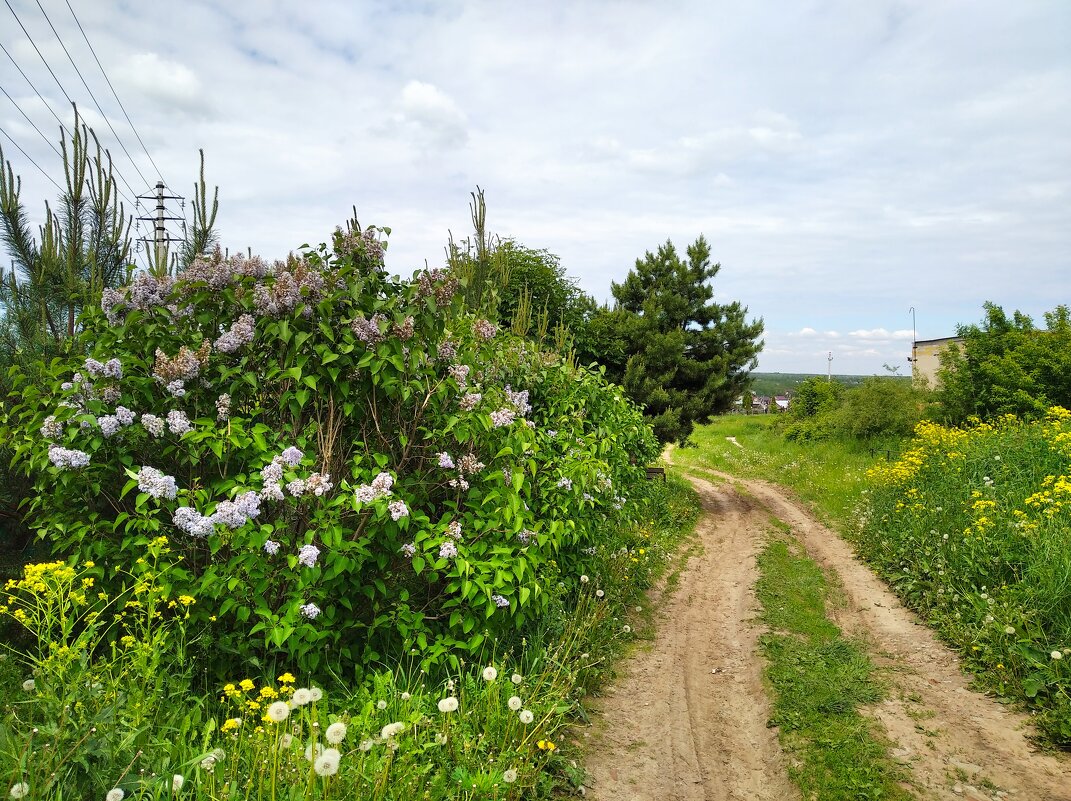 Летом в с.Заворово - Елена Семигина Летом в с.Заворово - Елена Семигина