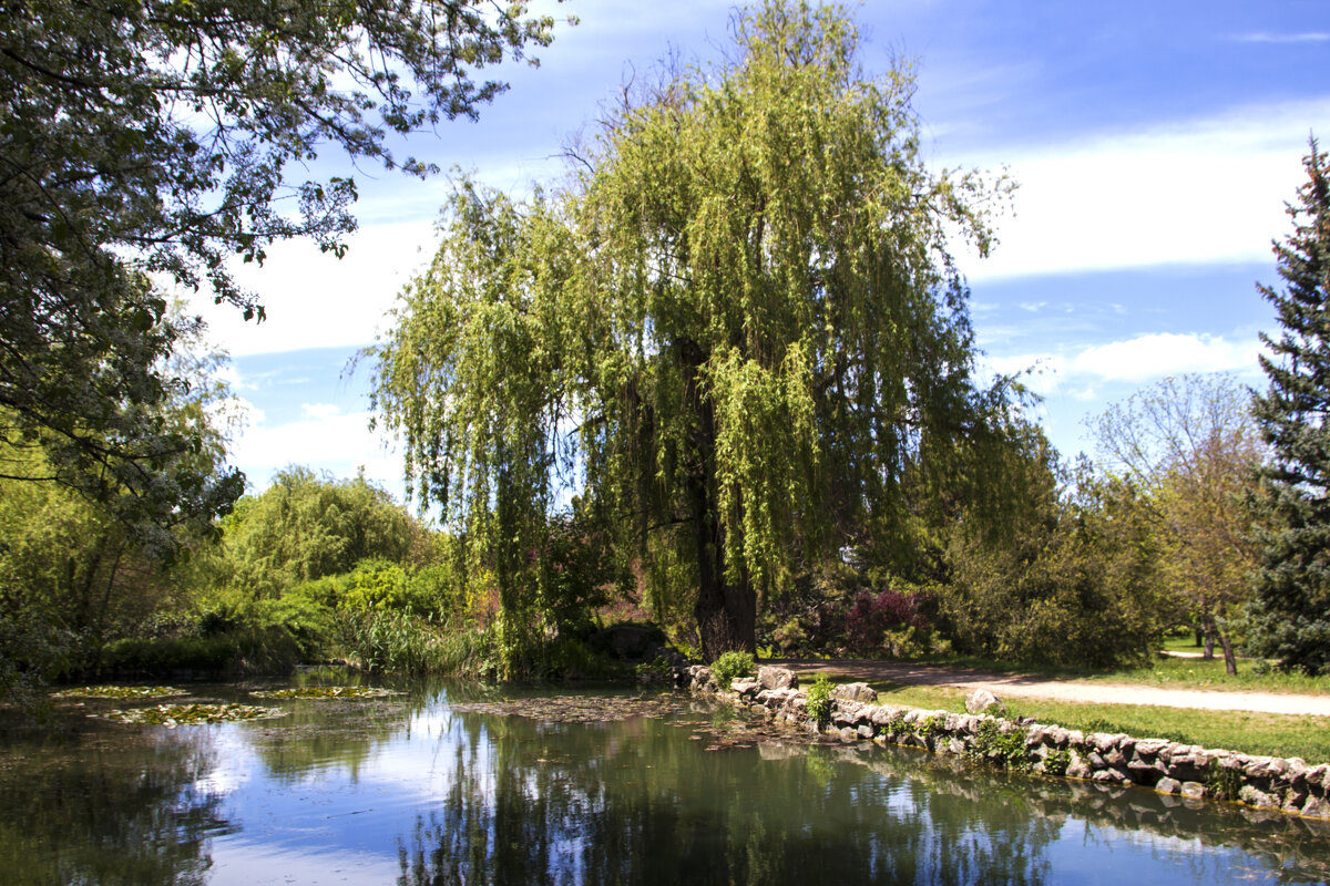 В парке - Валентин Семчишин В парке - Валентин Семчишин