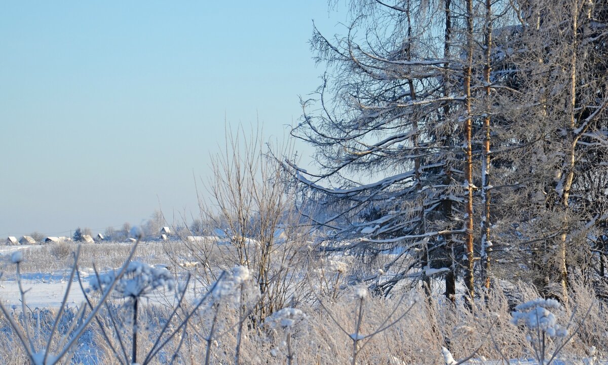 У ДОРОГИ. - Виктор Осипчук