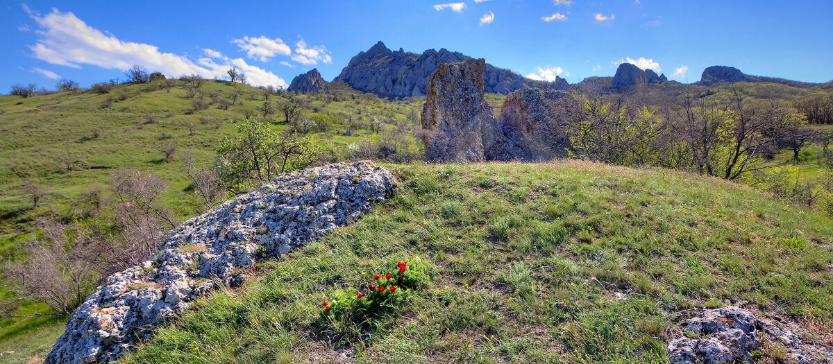 Весна в горах Крыма - Константин 