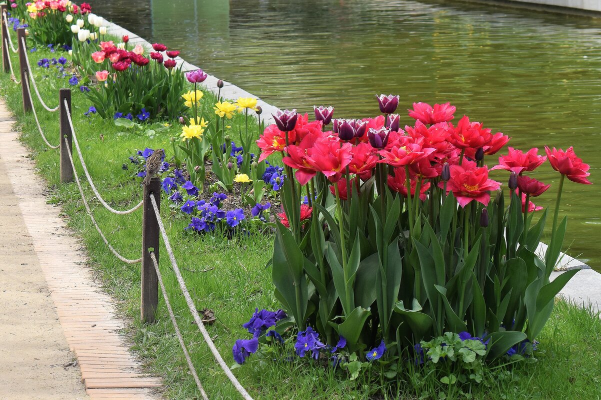 А на душе - тепло, светло и ЛЕТО! - Татьяна Помогалова А на душе - тепло, светло и ЛЕТО! - Татьяна Помогалова