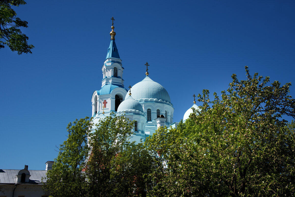 Спасо-Преображенский собор. - Владимир Безбородов