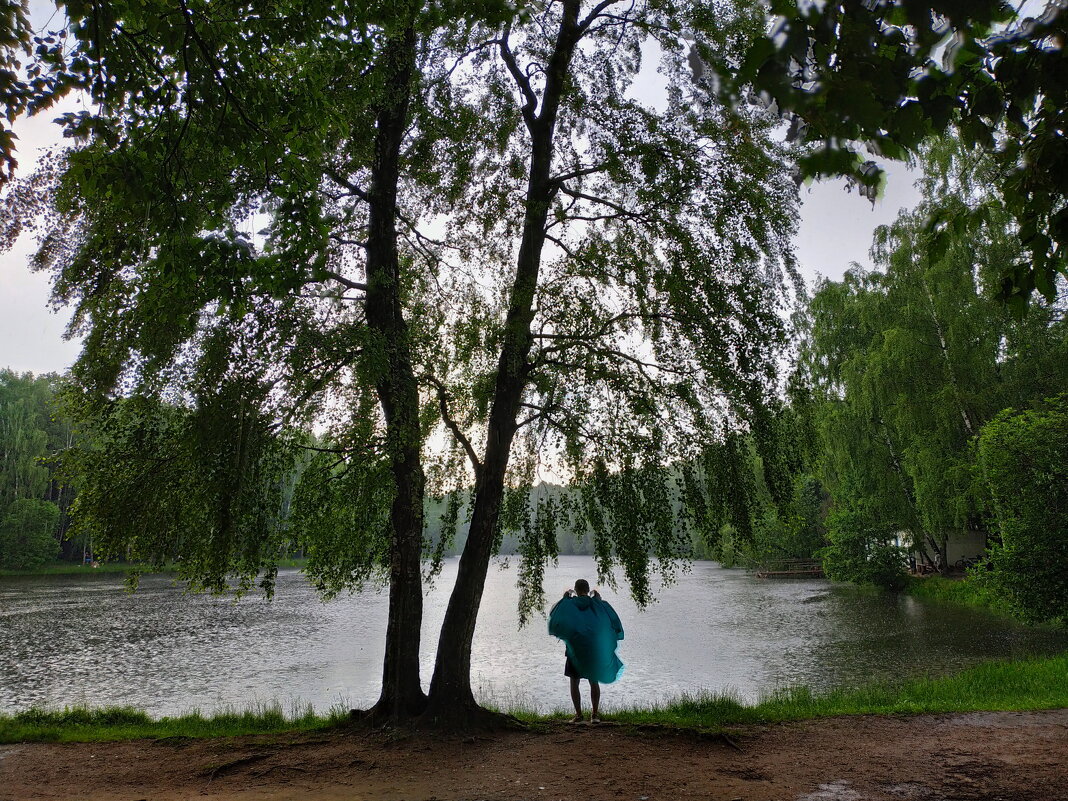 Я вас люблю мои дожди - Андрей Лукьянов