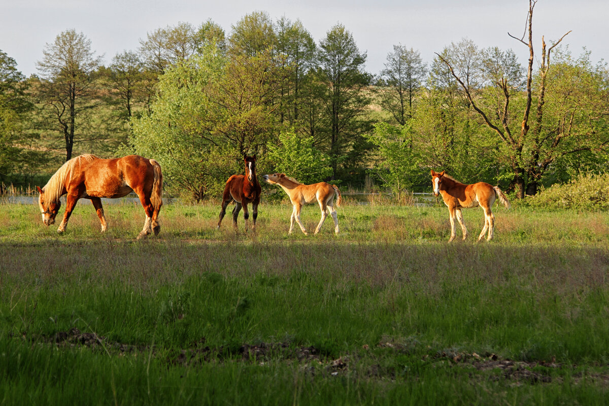 На прогулке. - Ирина На прогулке. - Ирина