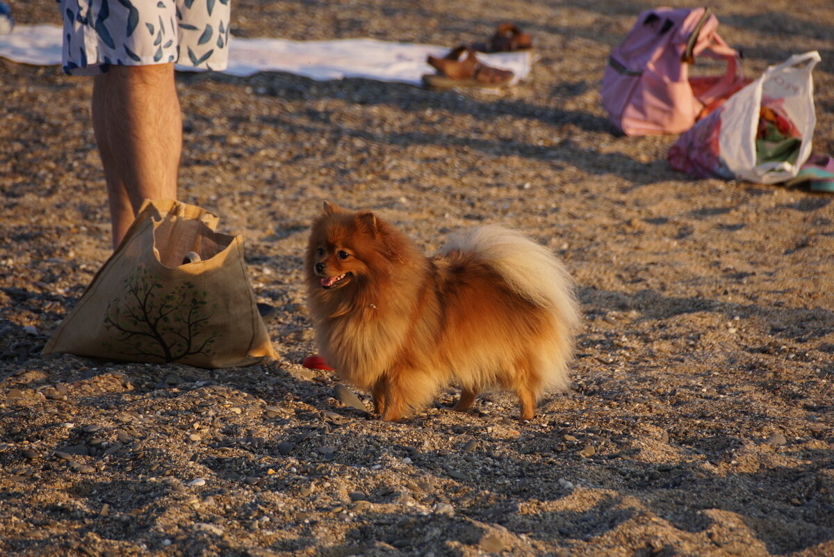 На пляже - Наталия Григорьева На пляже - Наталия Григорьева
