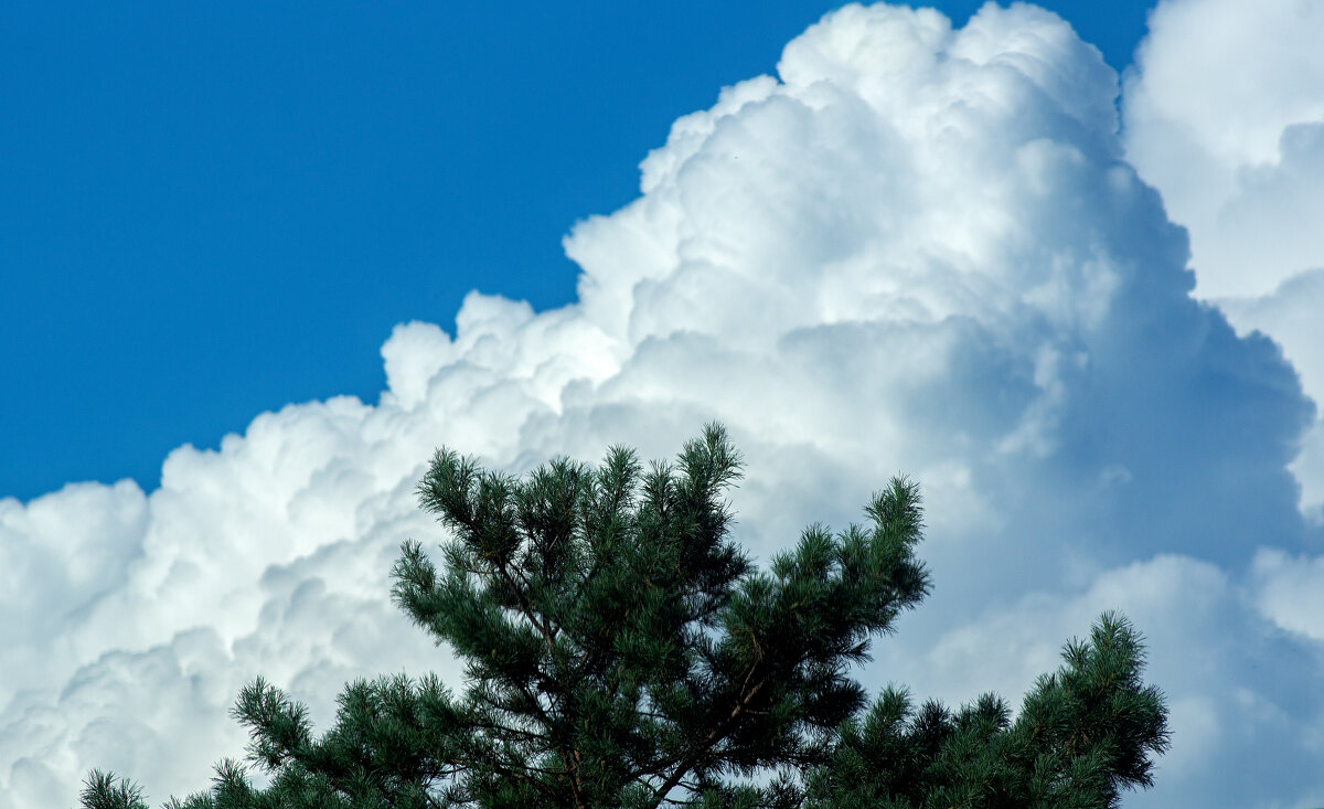 Облака - Виктор Фельдшеров Облака - Виктор Фельдшеров