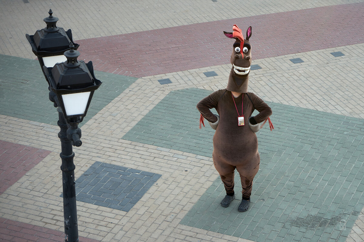 Казанский конь-попрошайка - Олег Манаенков Казанский конь-попрошайка - Олег Манаенков