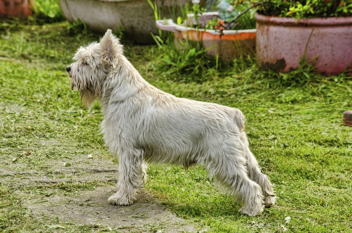На страже... - Станислав Мутовин