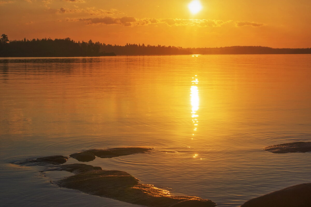 *** - Сергей  Могутов 