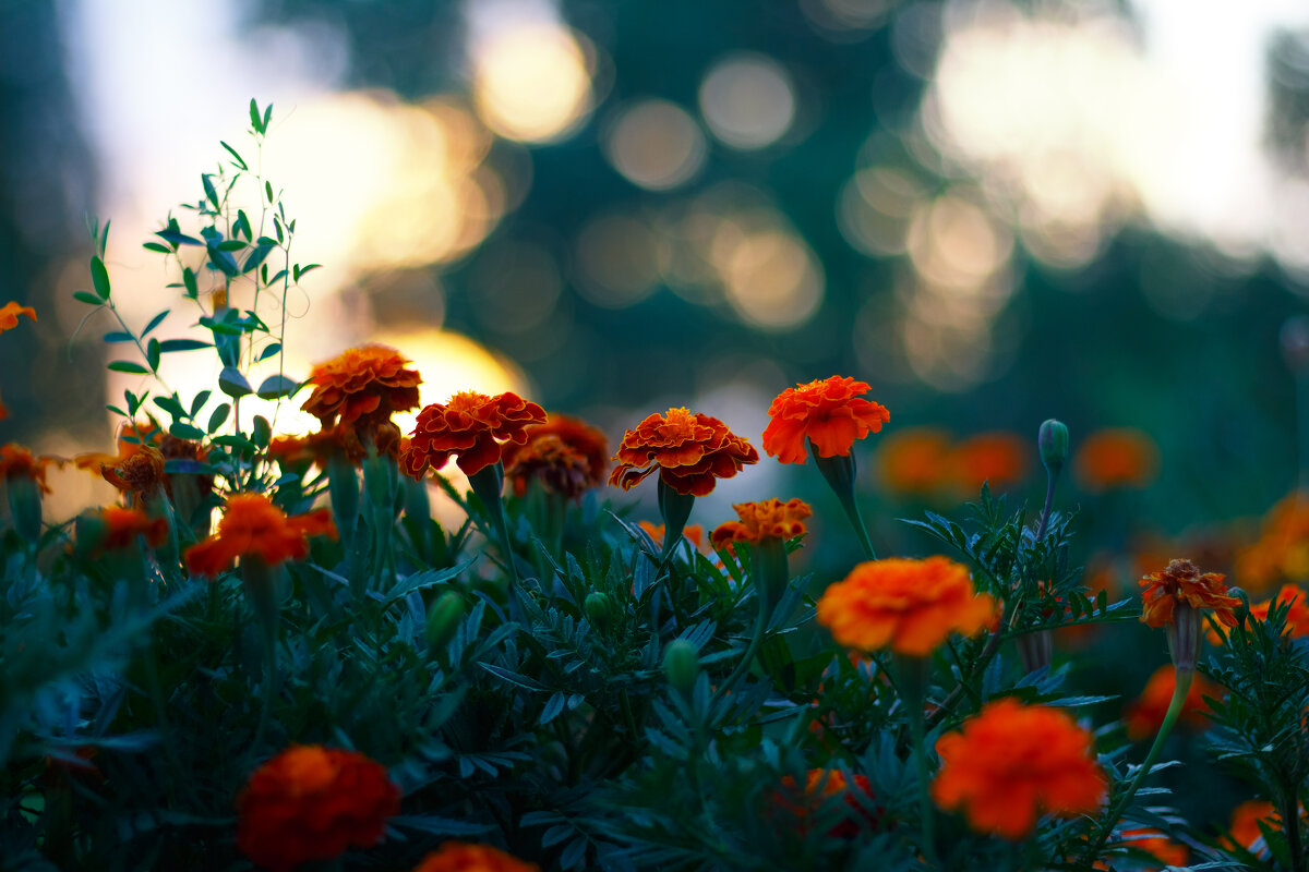 ... - Евгений Воропинов