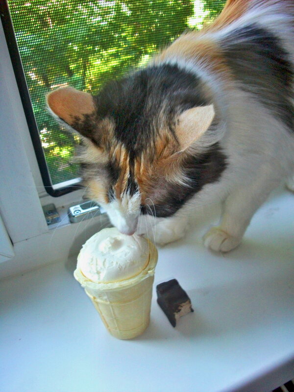 Втихаря - Milocs Морозова Людмила