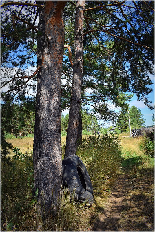 Турник..сельский.. - Александр Шимохин Турник..сельский.. - Александр Шимохин