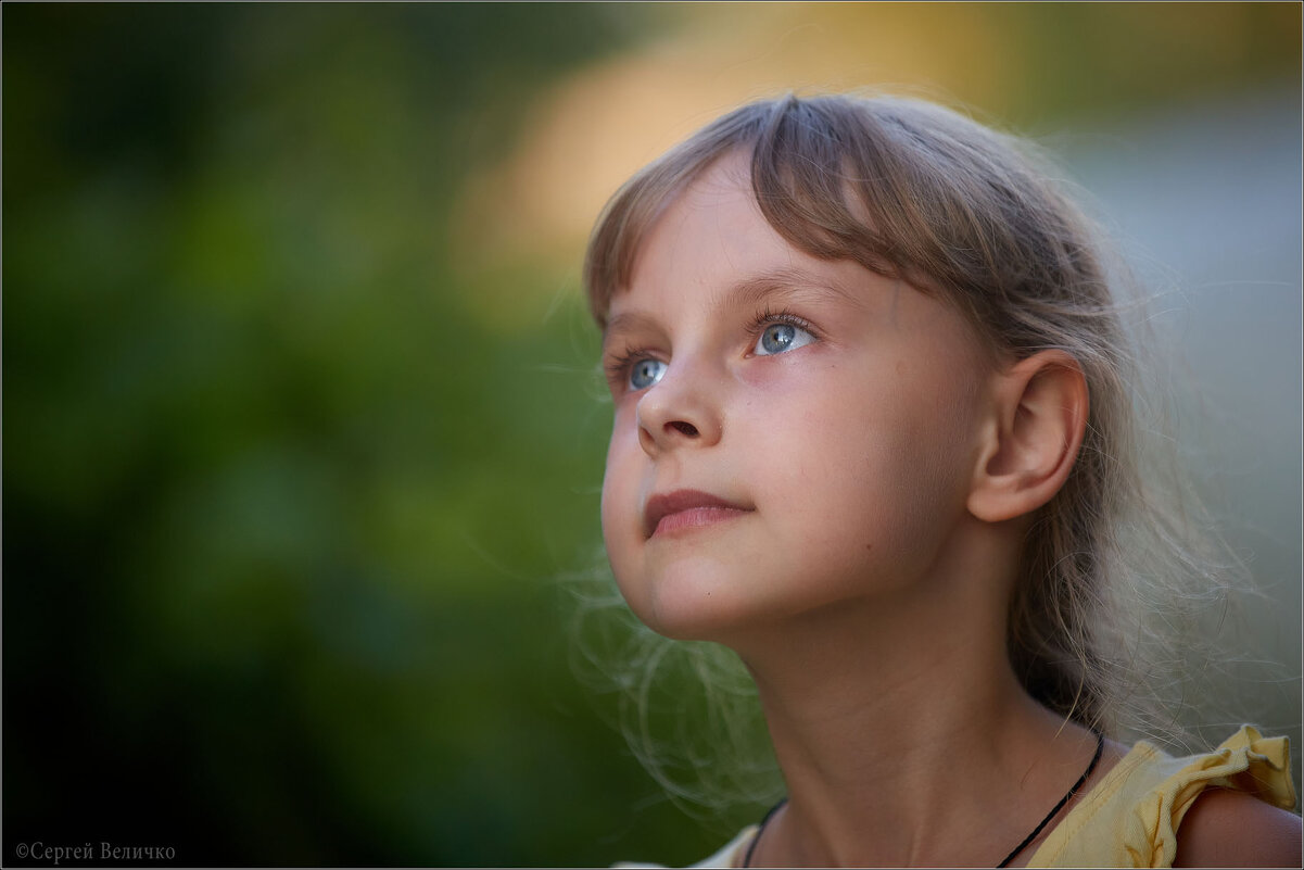 * * * - Сергей Величко * * * - Сергей Величко