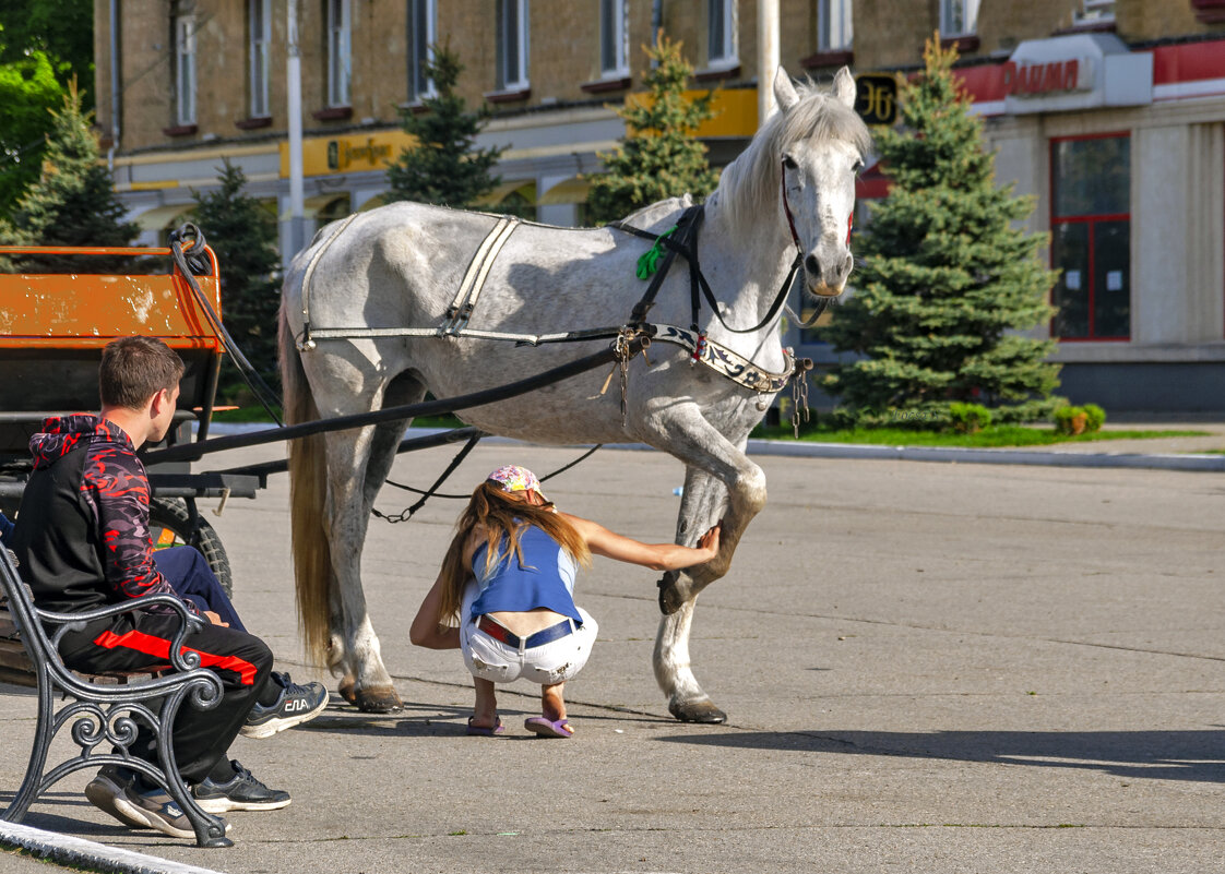 Доброта и доверие... - Светлана Фокша