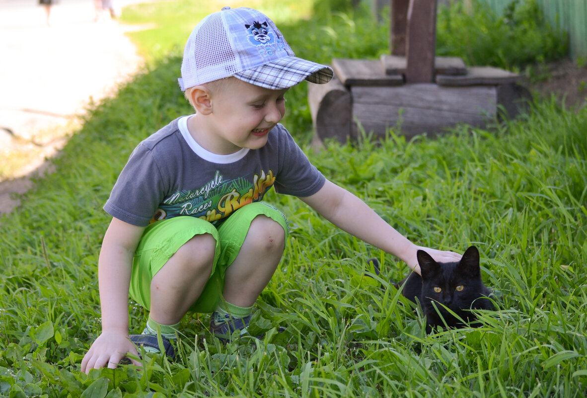 Встреча с котенком. - Артём Орлов