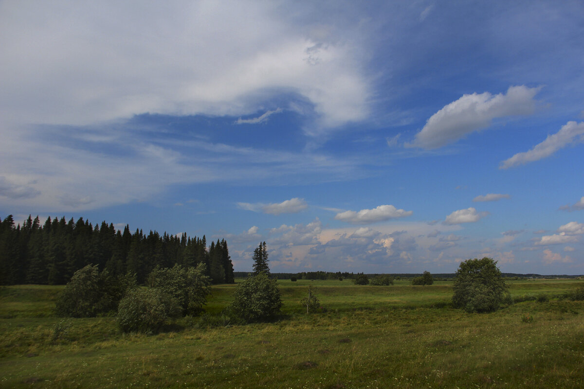 Июль - Виталий Першин Июль - Виталий Першин