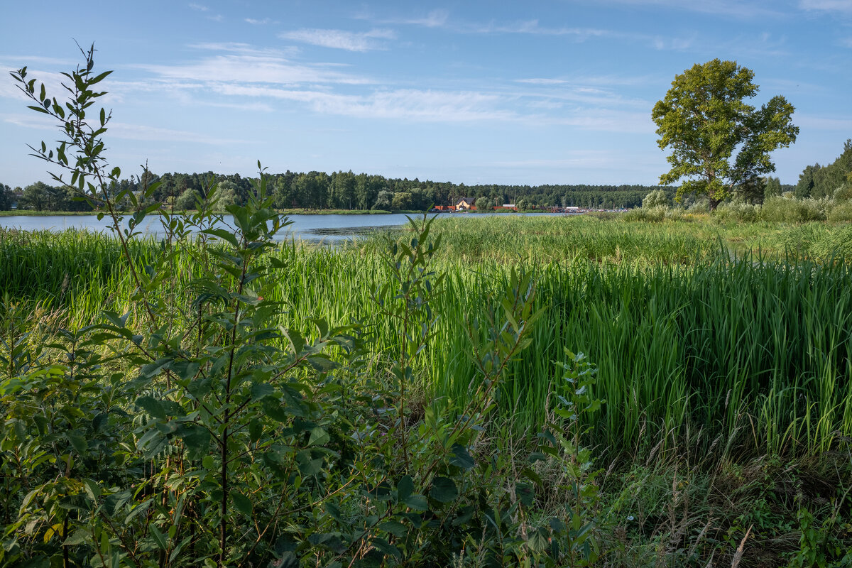 Там, где прячется вода... - Михаил "Skipper" Там, где прячется вода... - Михаил "Skipper"