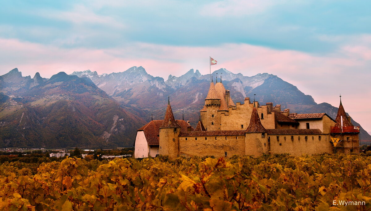 castle Aigle - Elena Wymann